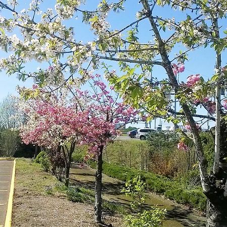 Pepper Tree Inn Beaverton Zewnętrze zdjęcie